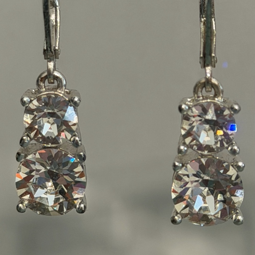 Sparkling Silver Crystal Drop Earrings